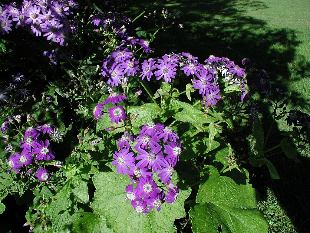 P4270013.JPG