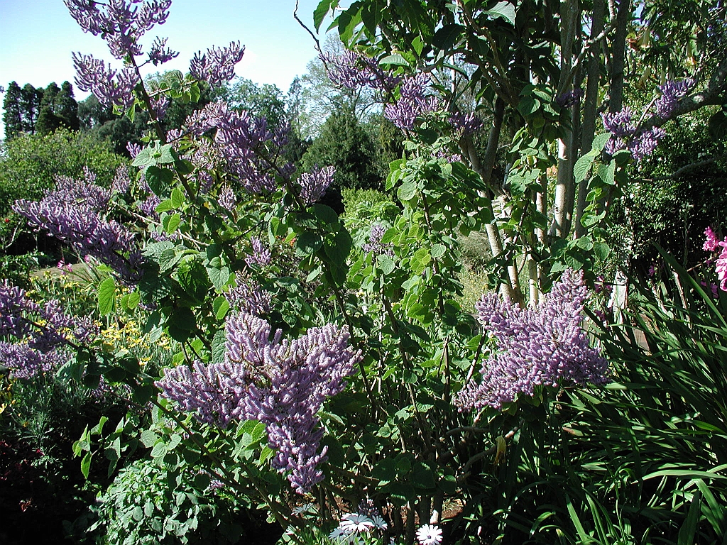 P4270033.JPG