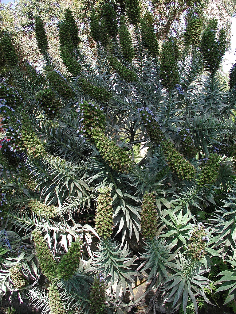 P4270045.JPG