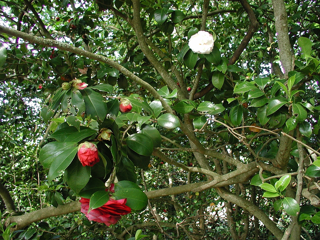 P4270050.JPG