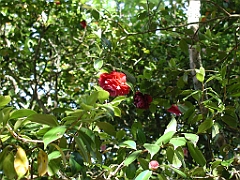 P4270001