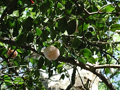 P4270003