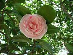 P4270004