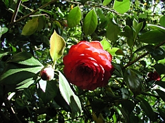P4270005