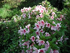 P4270007