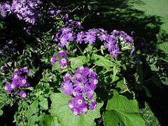 P4270013