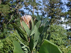 P4270014