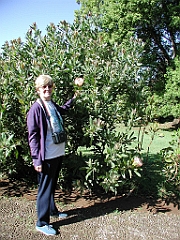 P4270017