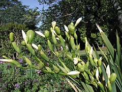 P4270018