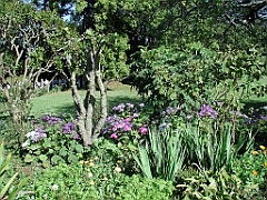 P4270020