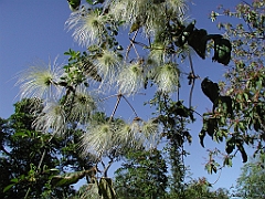 P4270022