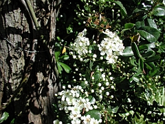 P4270023