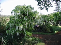 P4270027