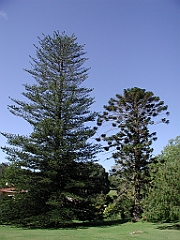 P4270029