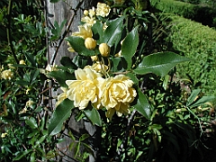 P4270032
