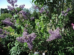 P4270033