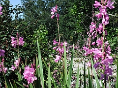 P4270035