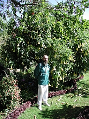 P4270038