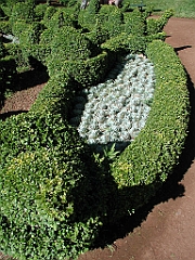 P4270039