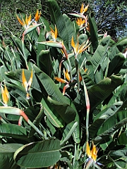 P4270041