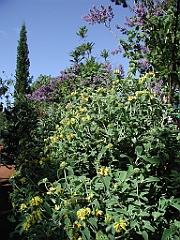P4270042