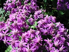 P4270044
