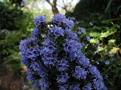 P4270046