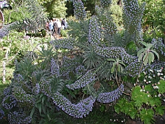 P4270047