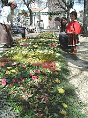 P4270006