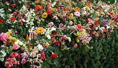 P4280089