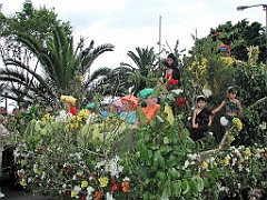 P4290015