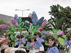 P4290097