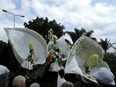 P4290218
