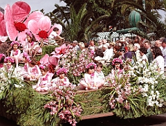 P4290227