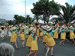 P4290233