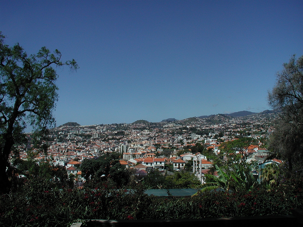 P4270078.JPG