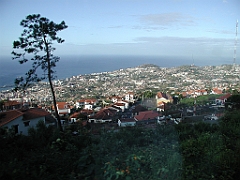 P4260155