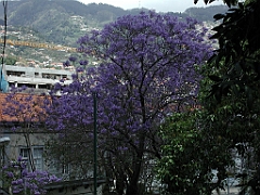 P4270002