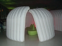 CIMG8524