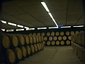CIMG8244