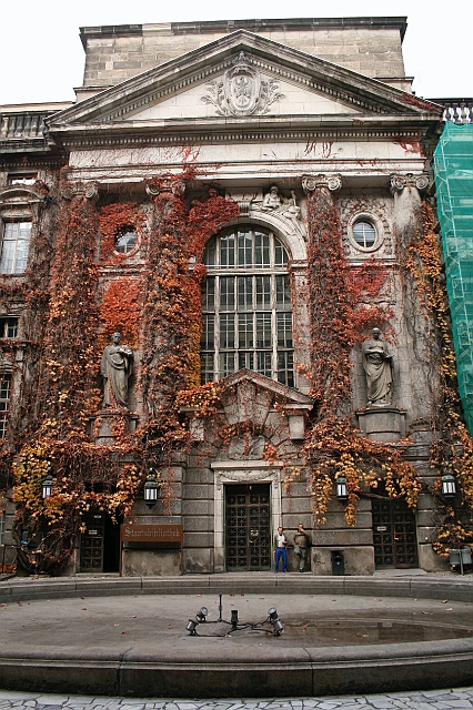 IMG_7935.JPG