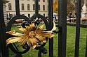 IMG_7939