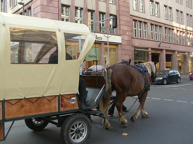 CIMG9150.JPG - vi gikk istedet...