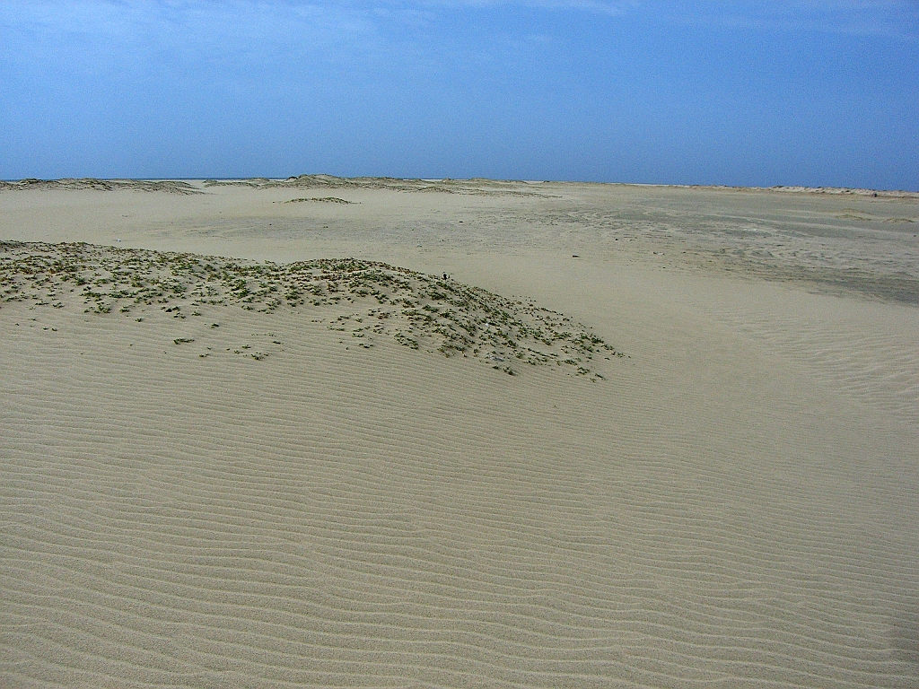CIMG0085.JPG