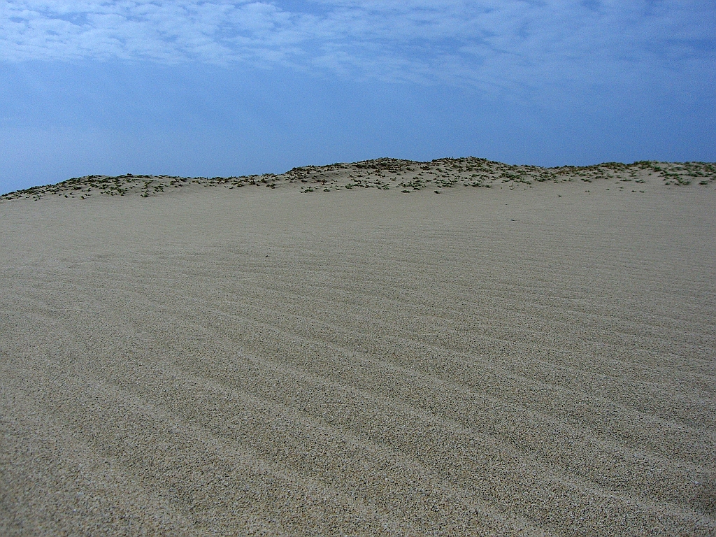 CIMG0087.JPG