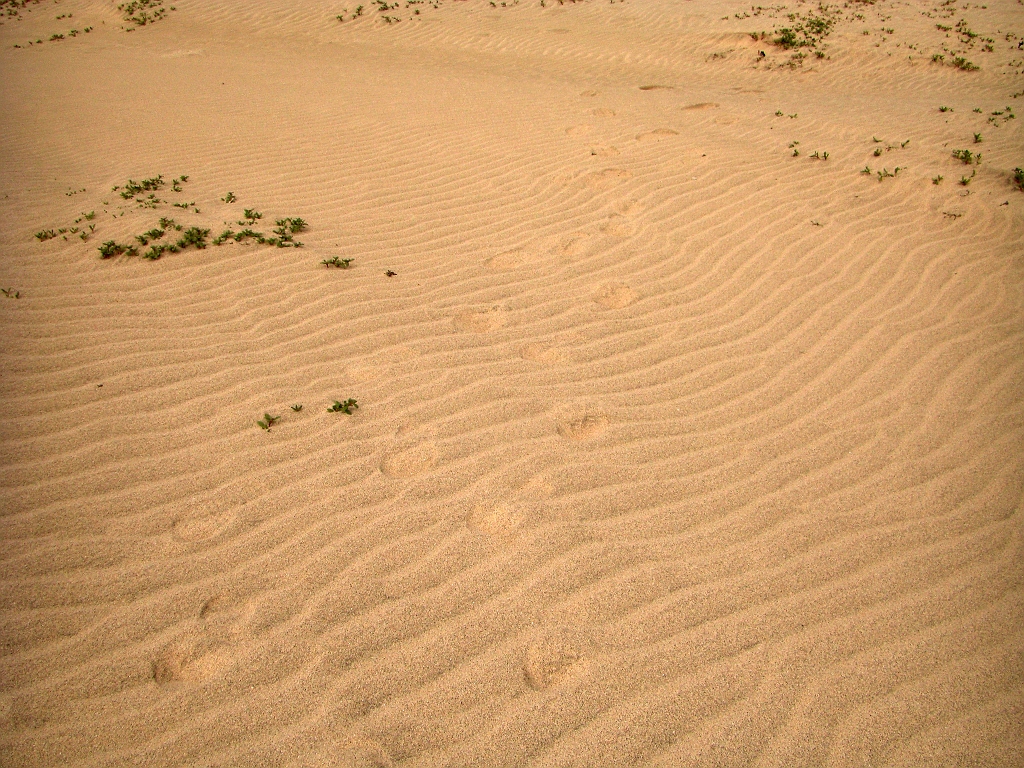 CIMG3422.JPG