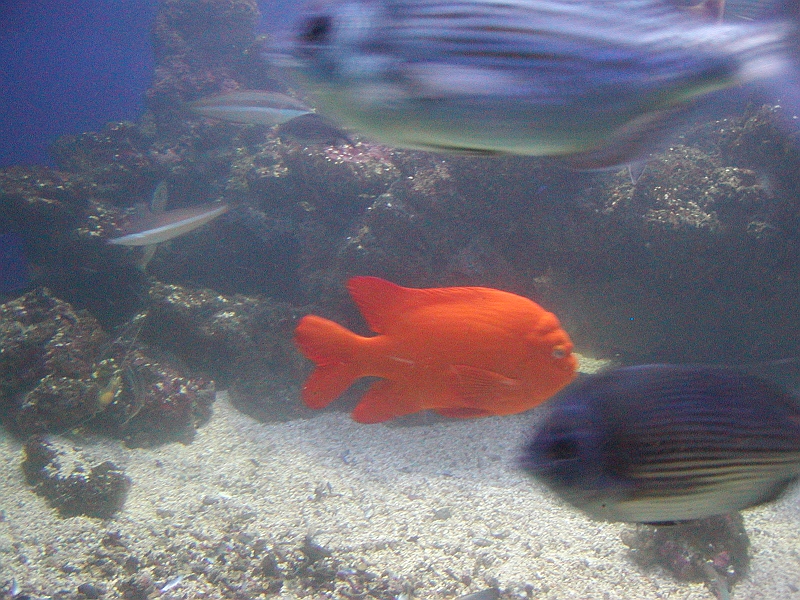 p8260206.jpg