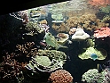 p8260229