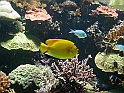 p8260231