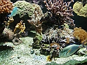 p8260232